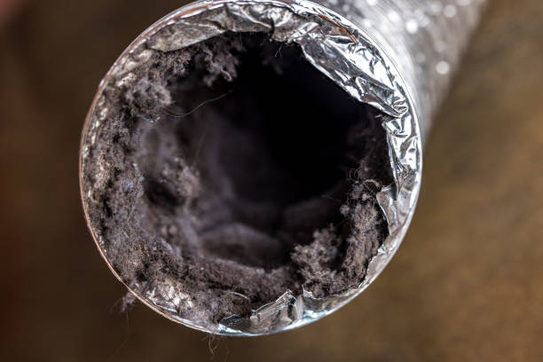 Best HVAC Duct Inspection Services  in Charlotte, TX